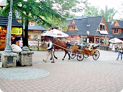 Zakopane - Horse and Cart